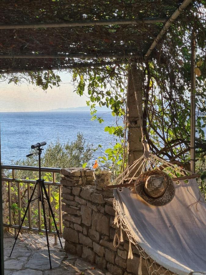 Koki Eco House Villa Blato  Exterior photo